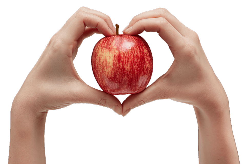 Nutricion y estilo de vida - Manzanas Washington